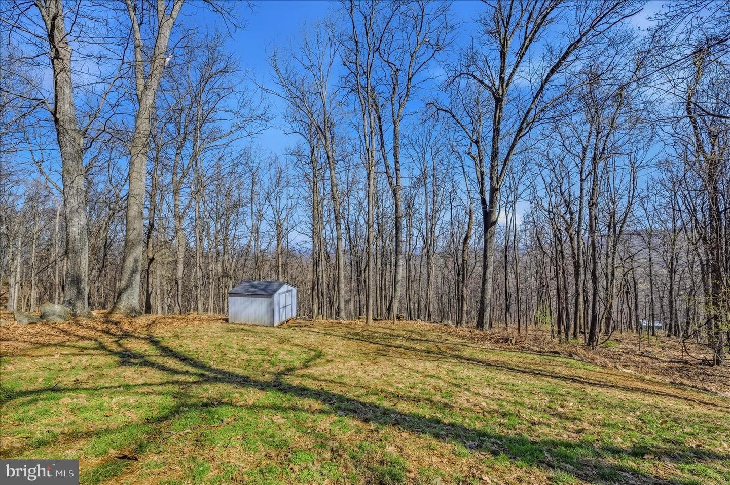 167 Pocahontas Road photo 36