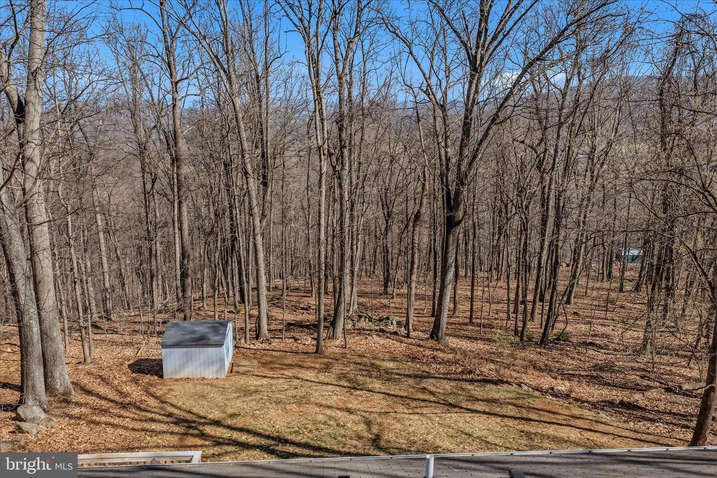167 Pocahontas Road photo 44