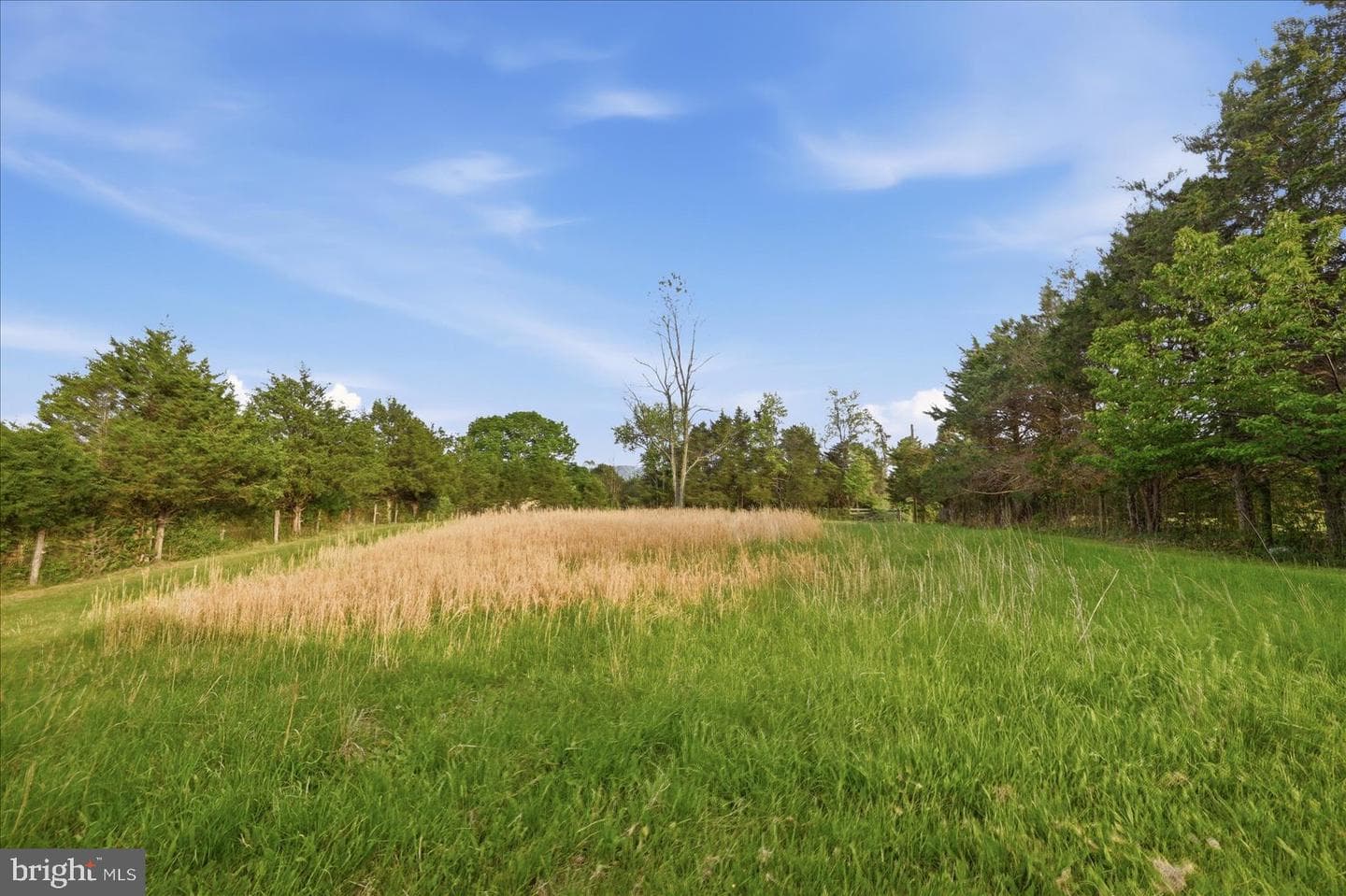 165 Wilson Burke Road photo 116