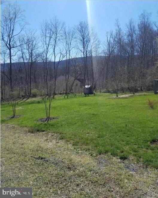 61 Hamms Rocky Hill photo 10