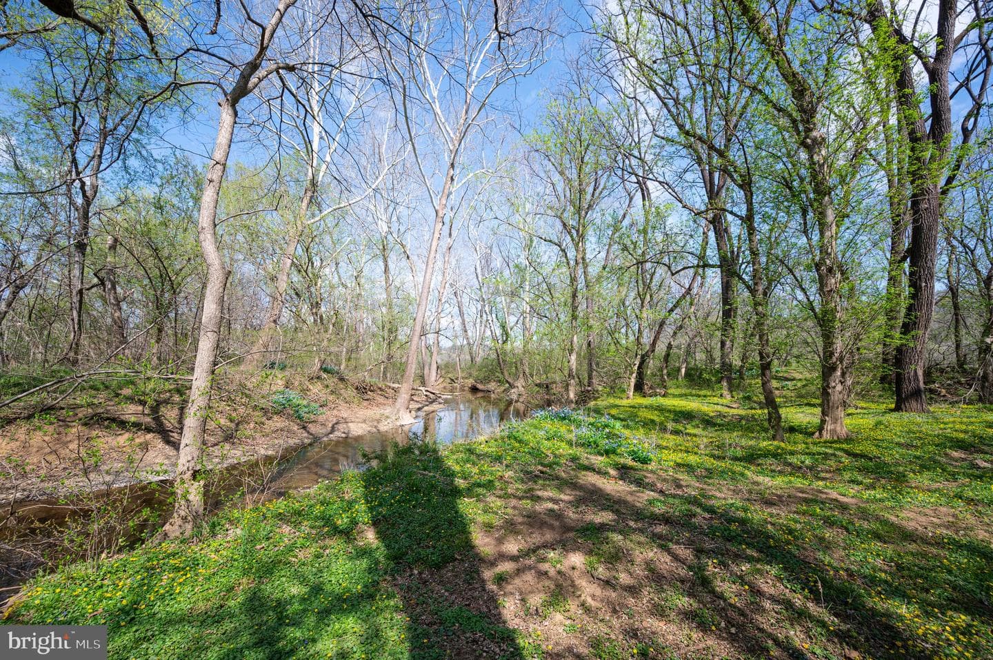 400 Deer Run Circle photo 110