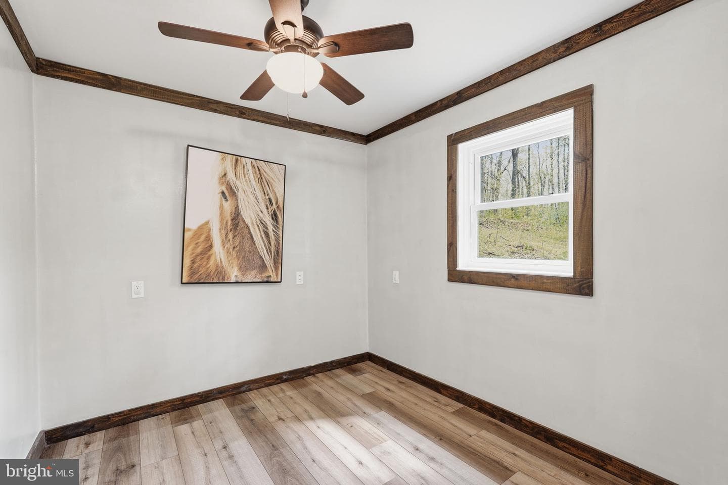 52 Hickory Nut Road photo 30