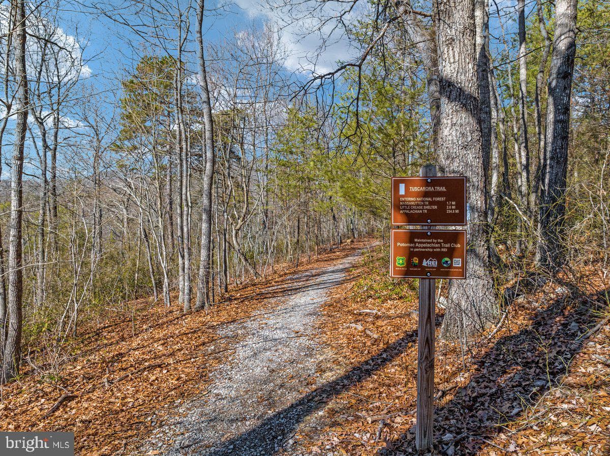 Lot 1 River Oak photo 21