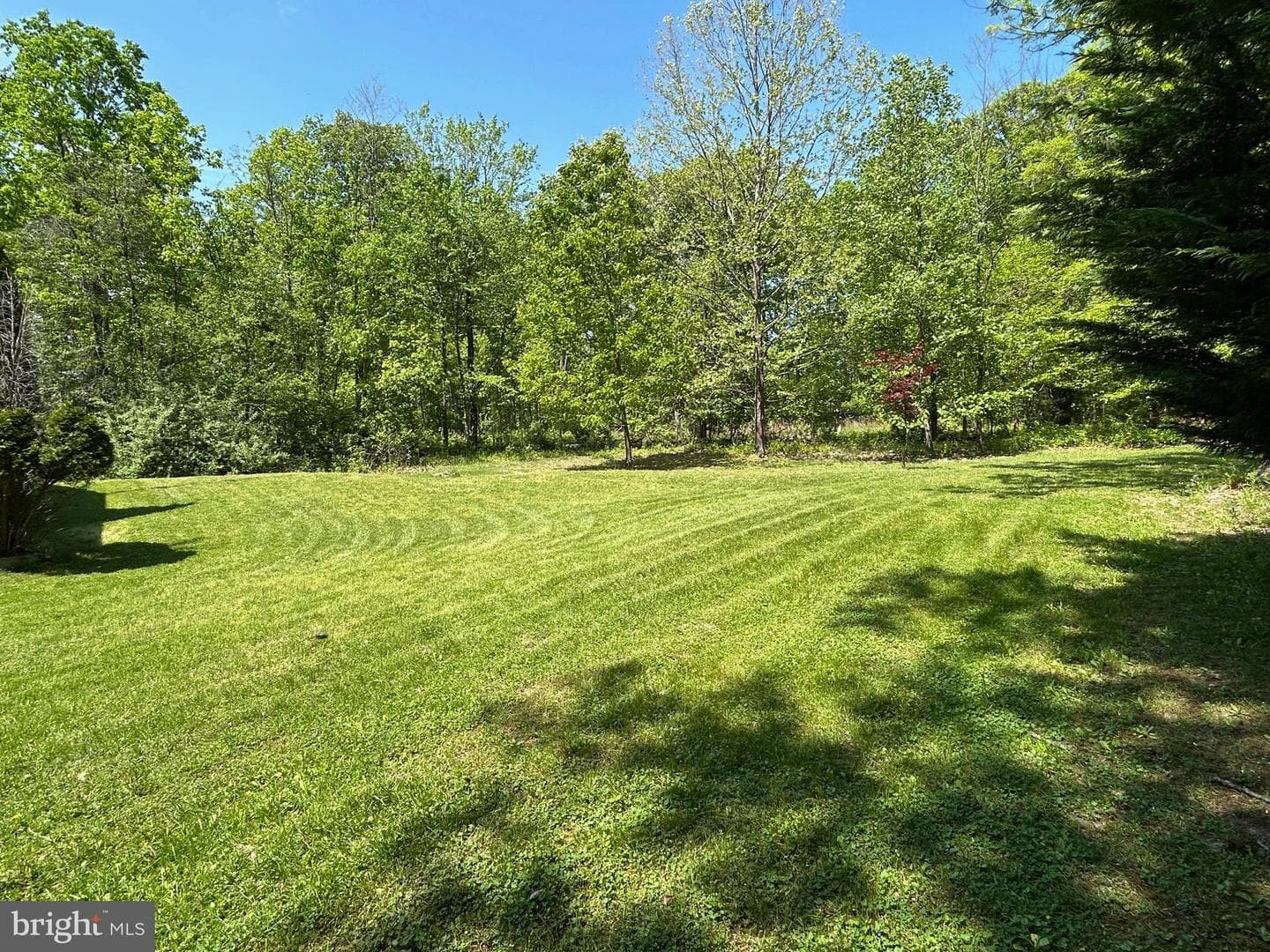 830 Western Lane photo 12