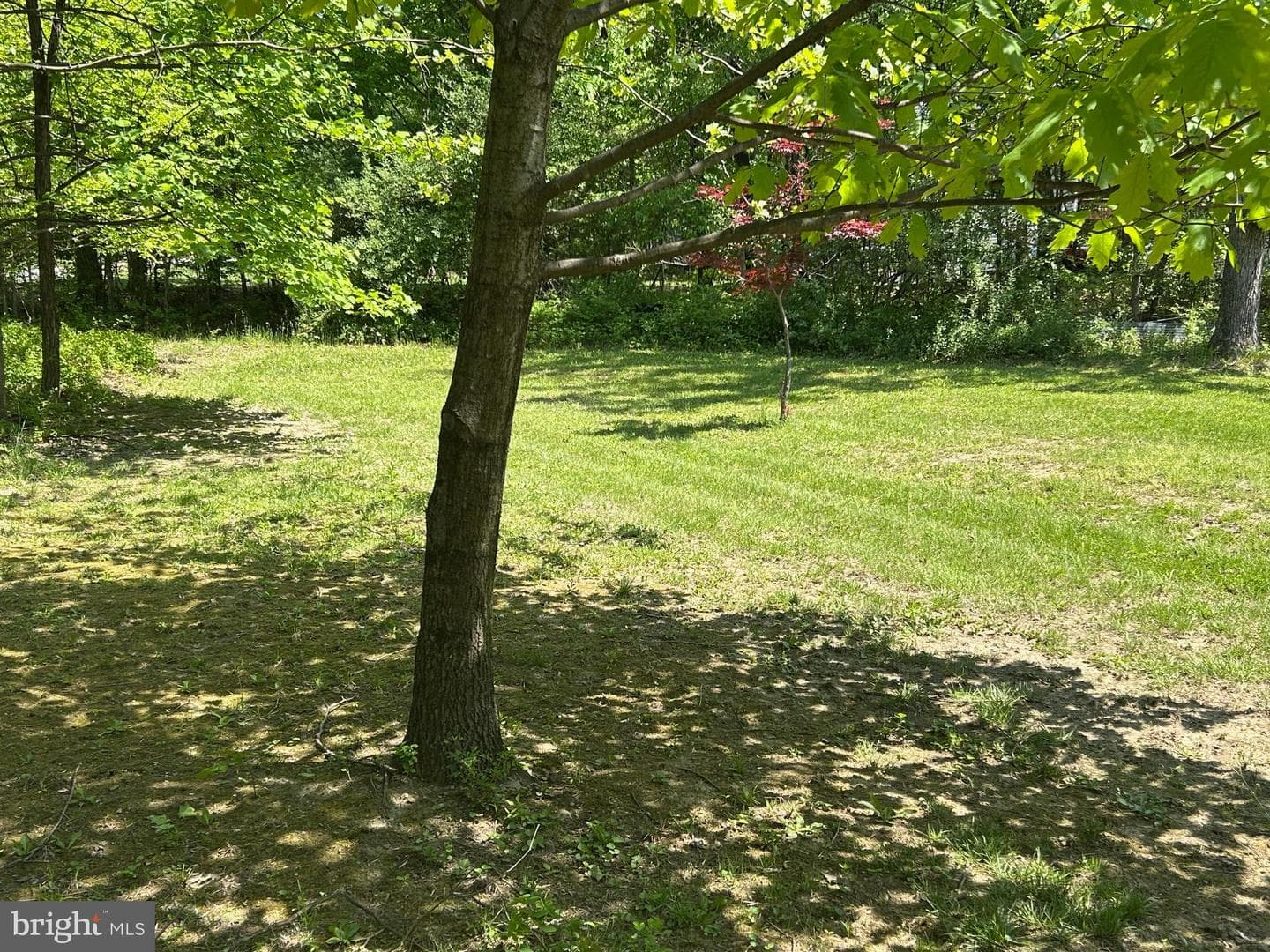 830 Western Lane photo 14