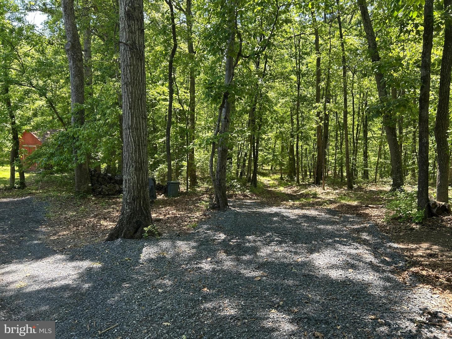 830 Western Lane photo 4
