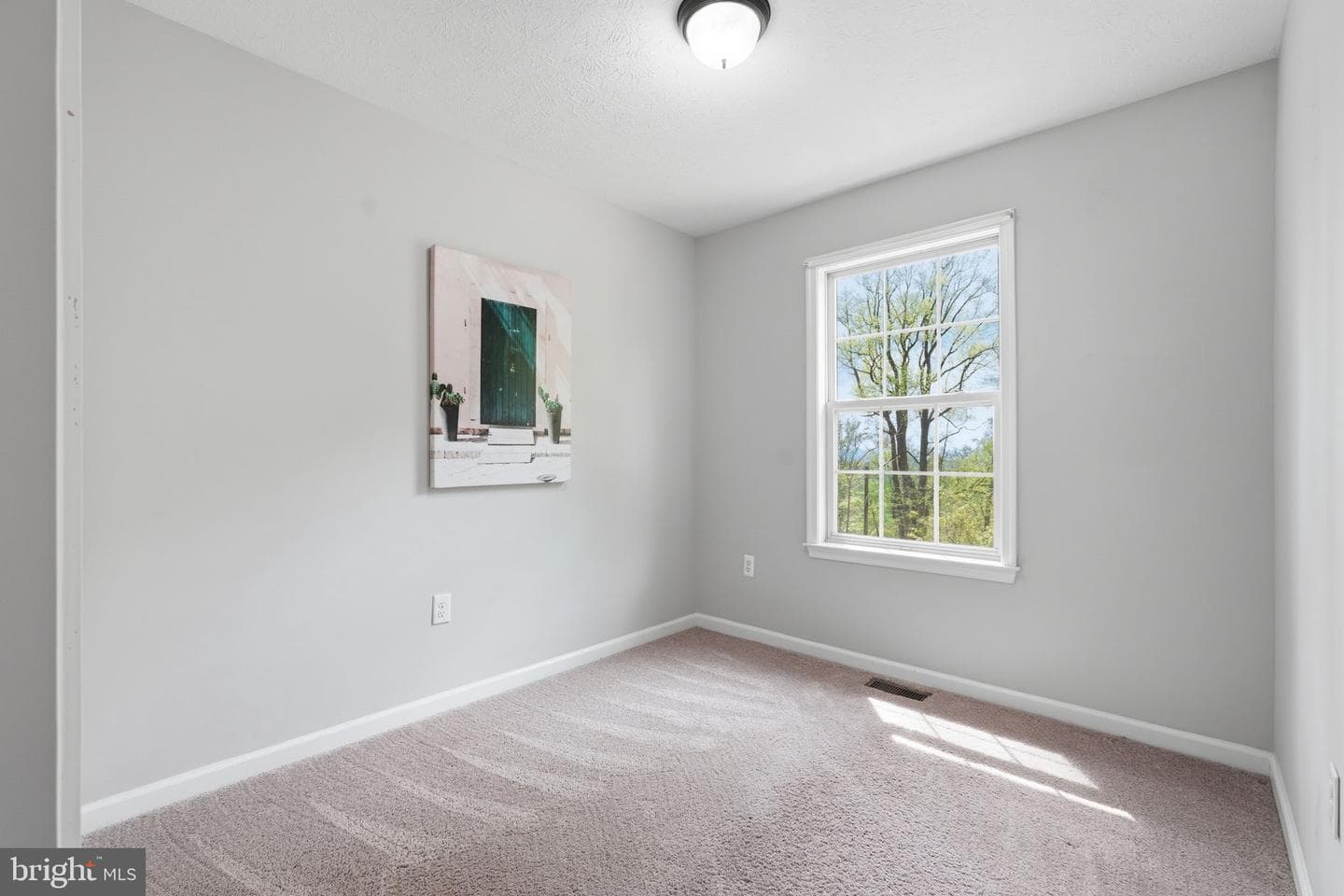 195 Gayles Lane photo 16