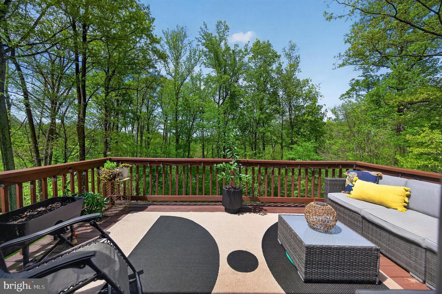 417 Bluebird Way photo 13