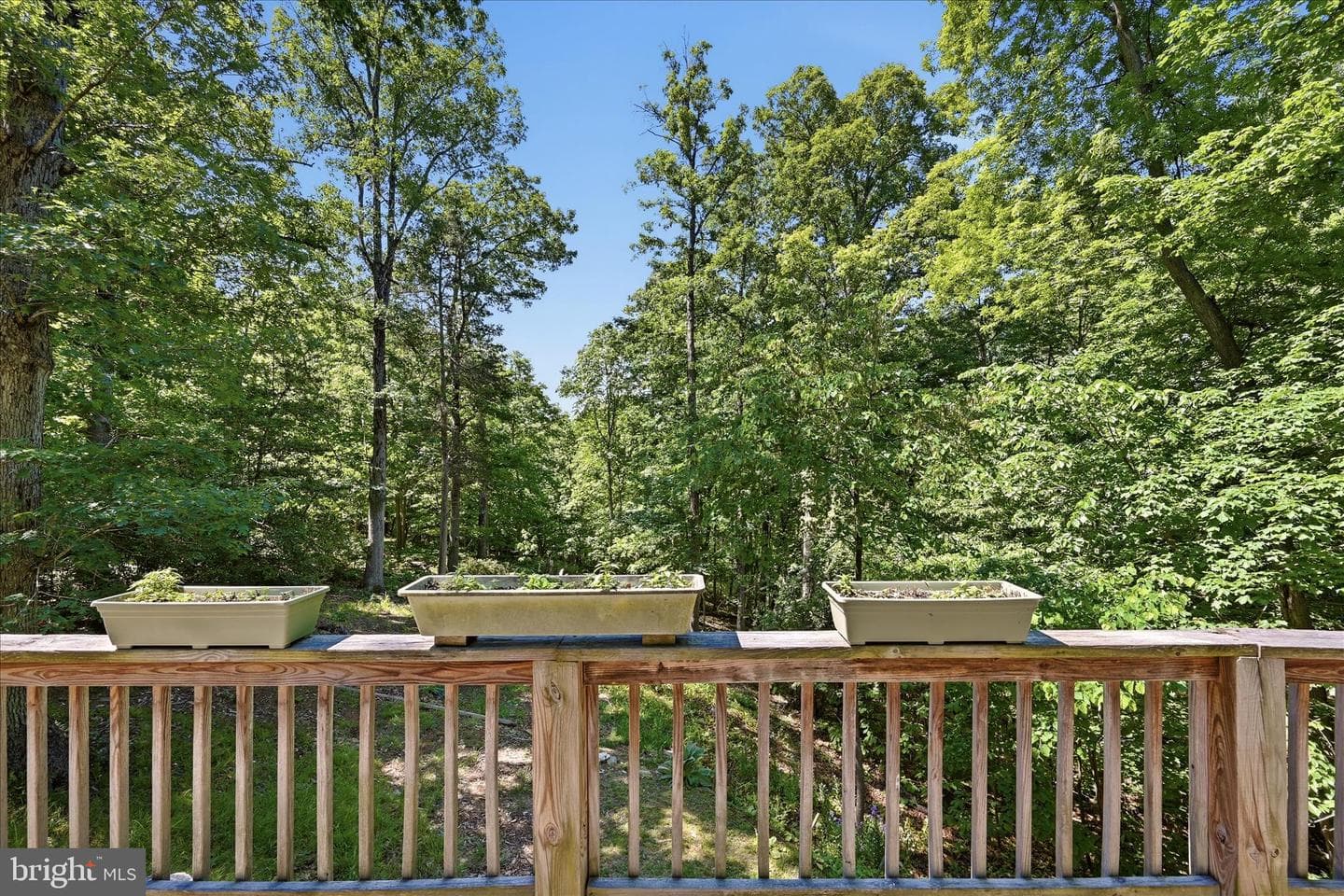 198 Spruce Road photo 44