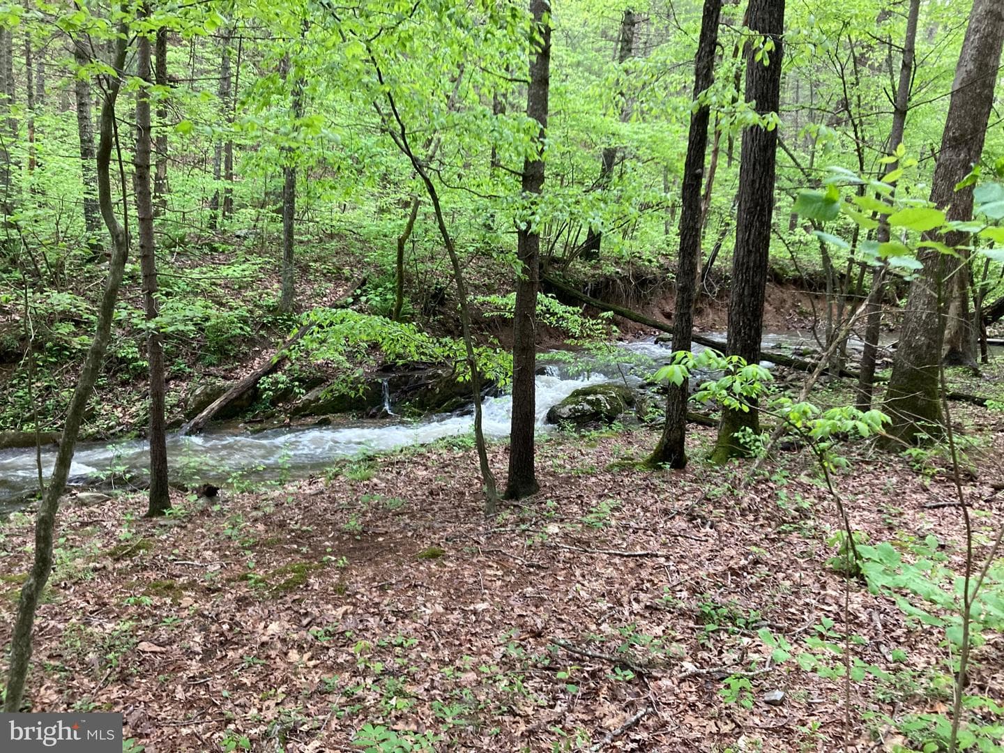 220 Deerhaven Road photo 30