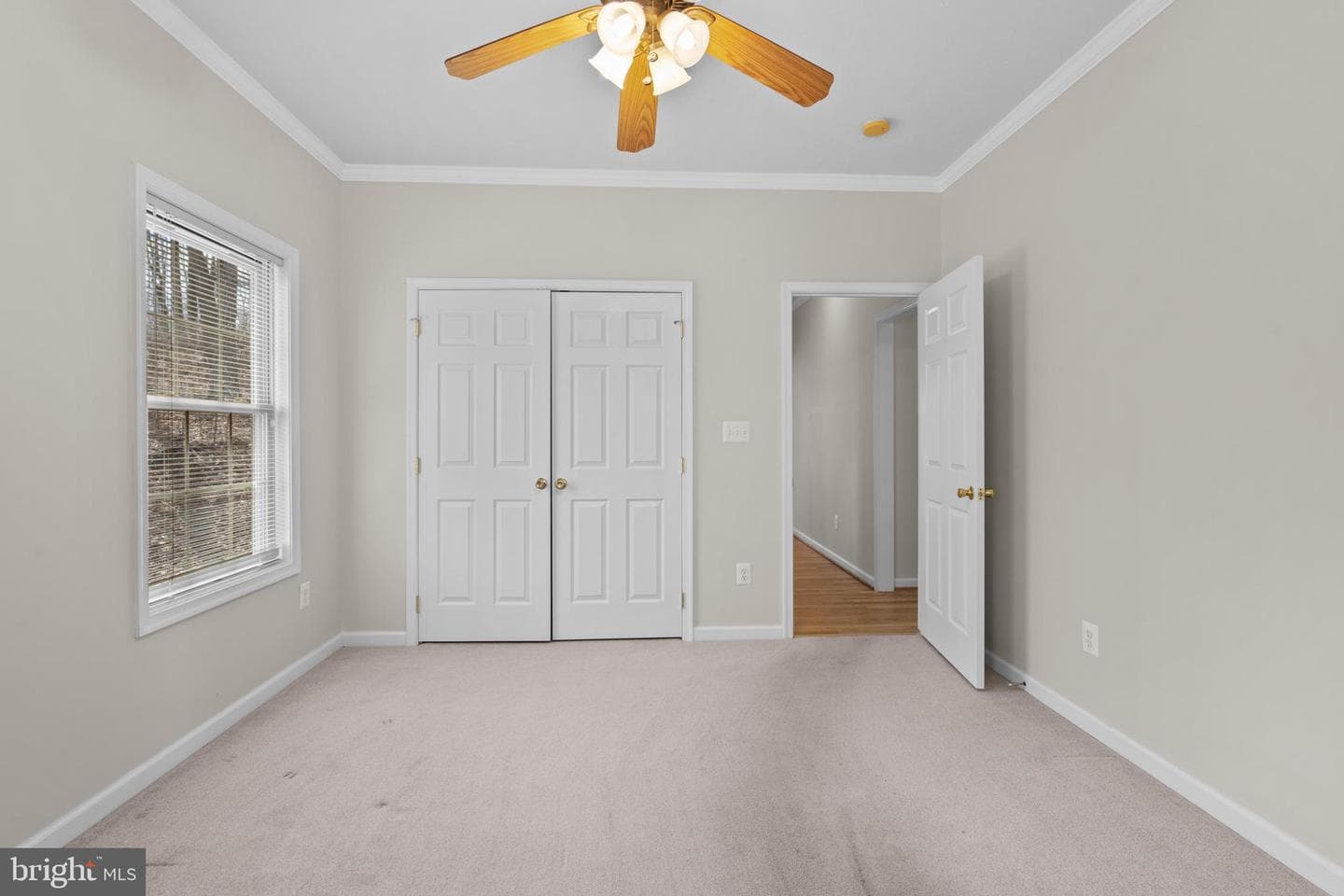 2622 Ccc Road photo 49