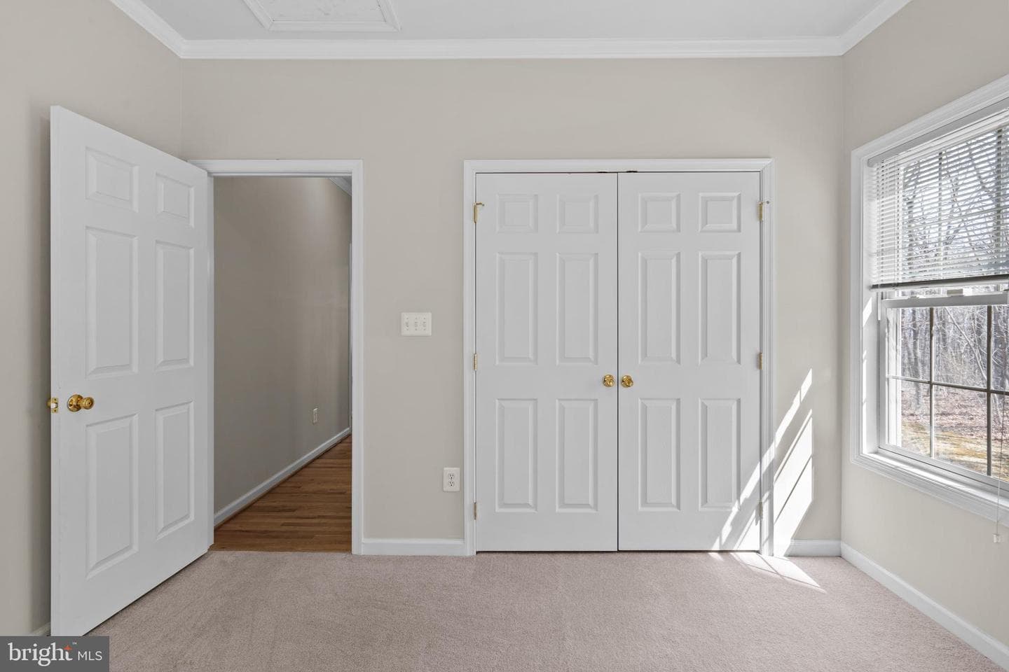 2622 Ccc Road photo 52