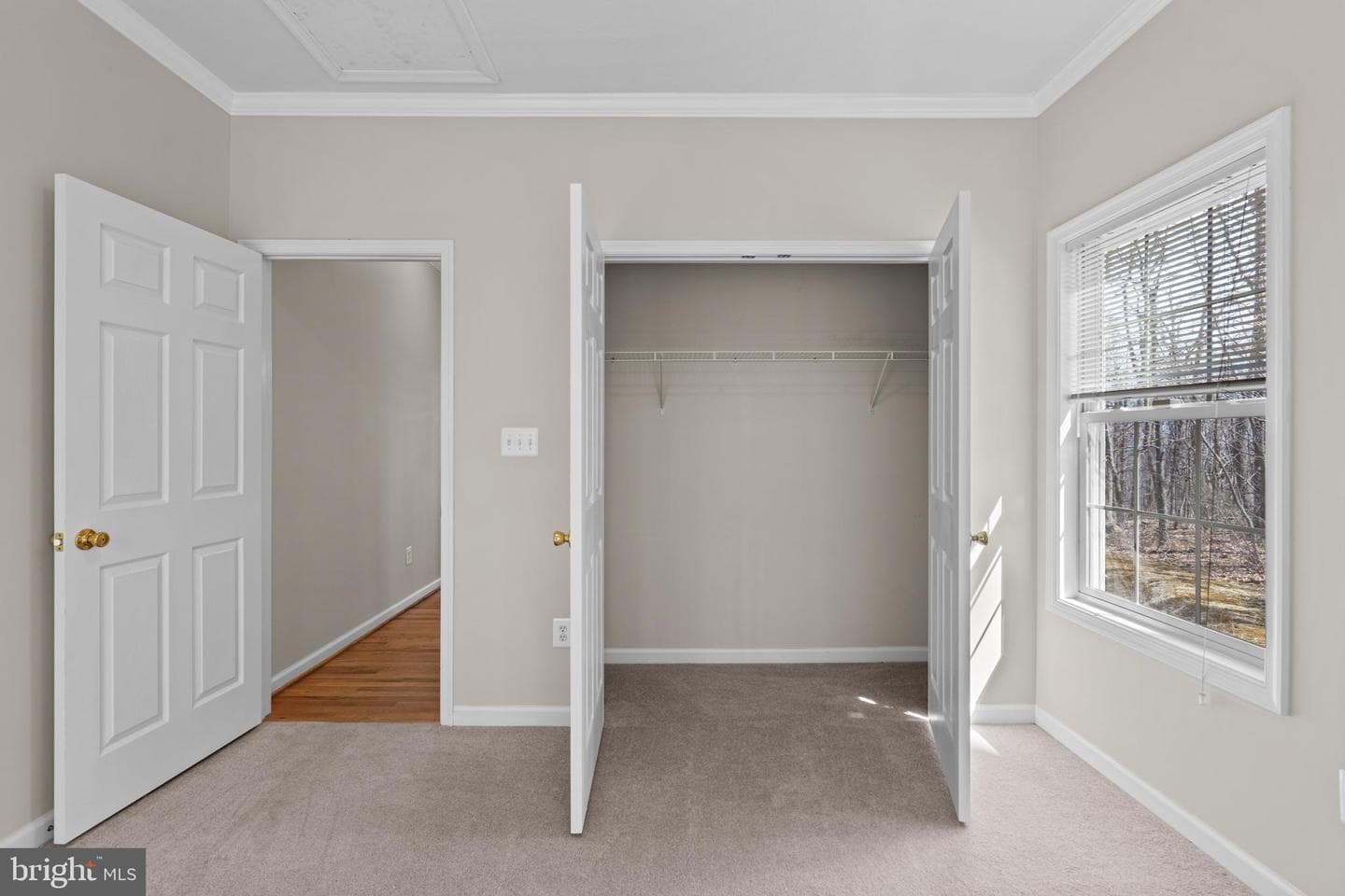 2622 Ccc Road photo 53