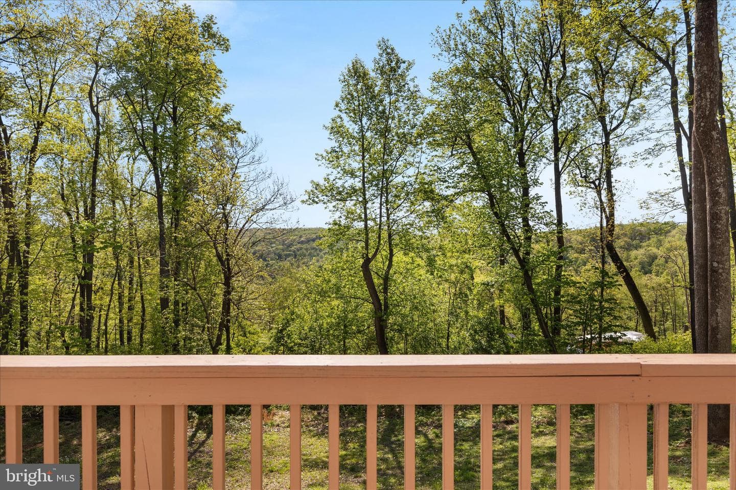 2668 High Top Road photo 55
