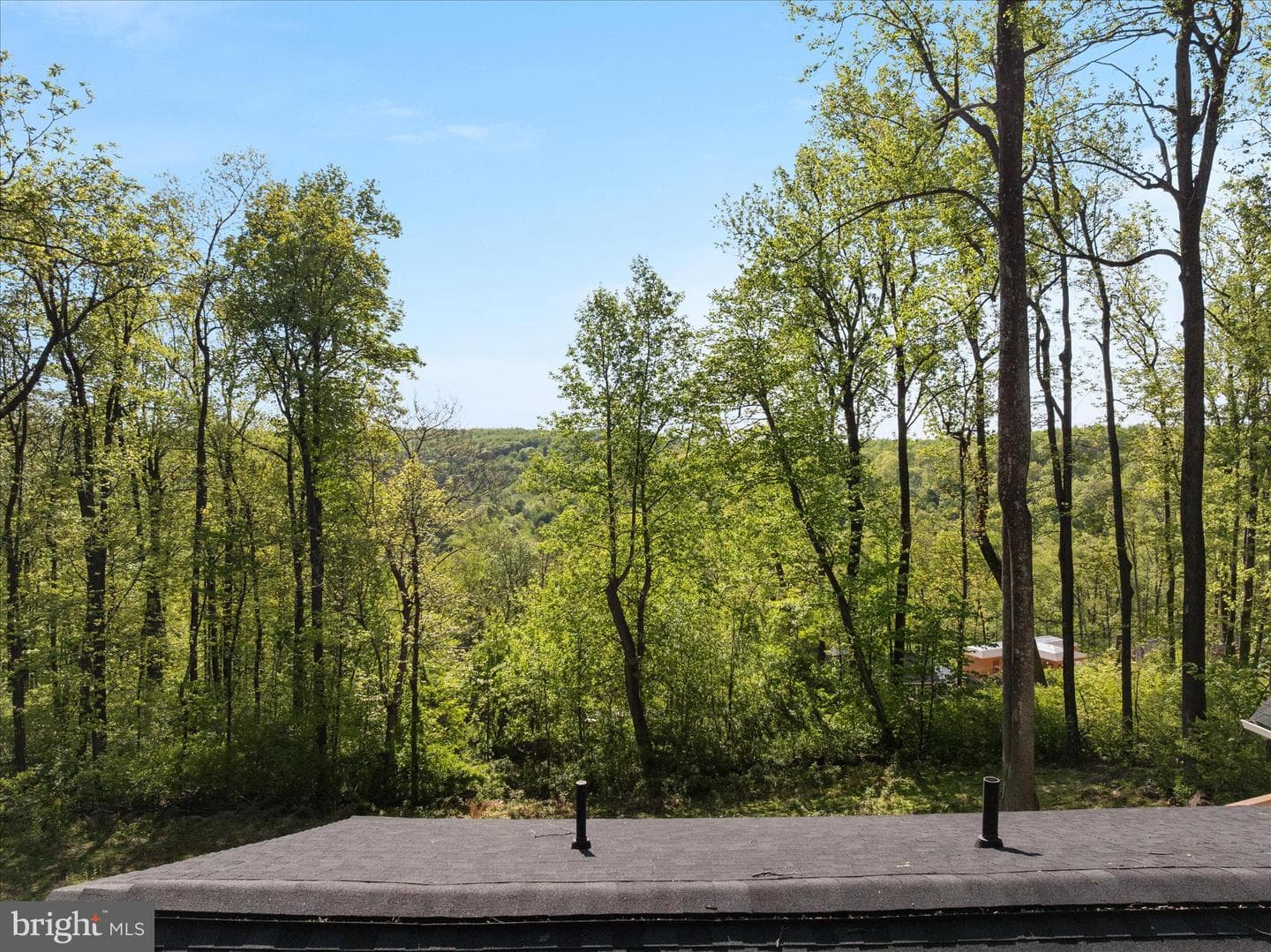 2668 High Top Road photo 59