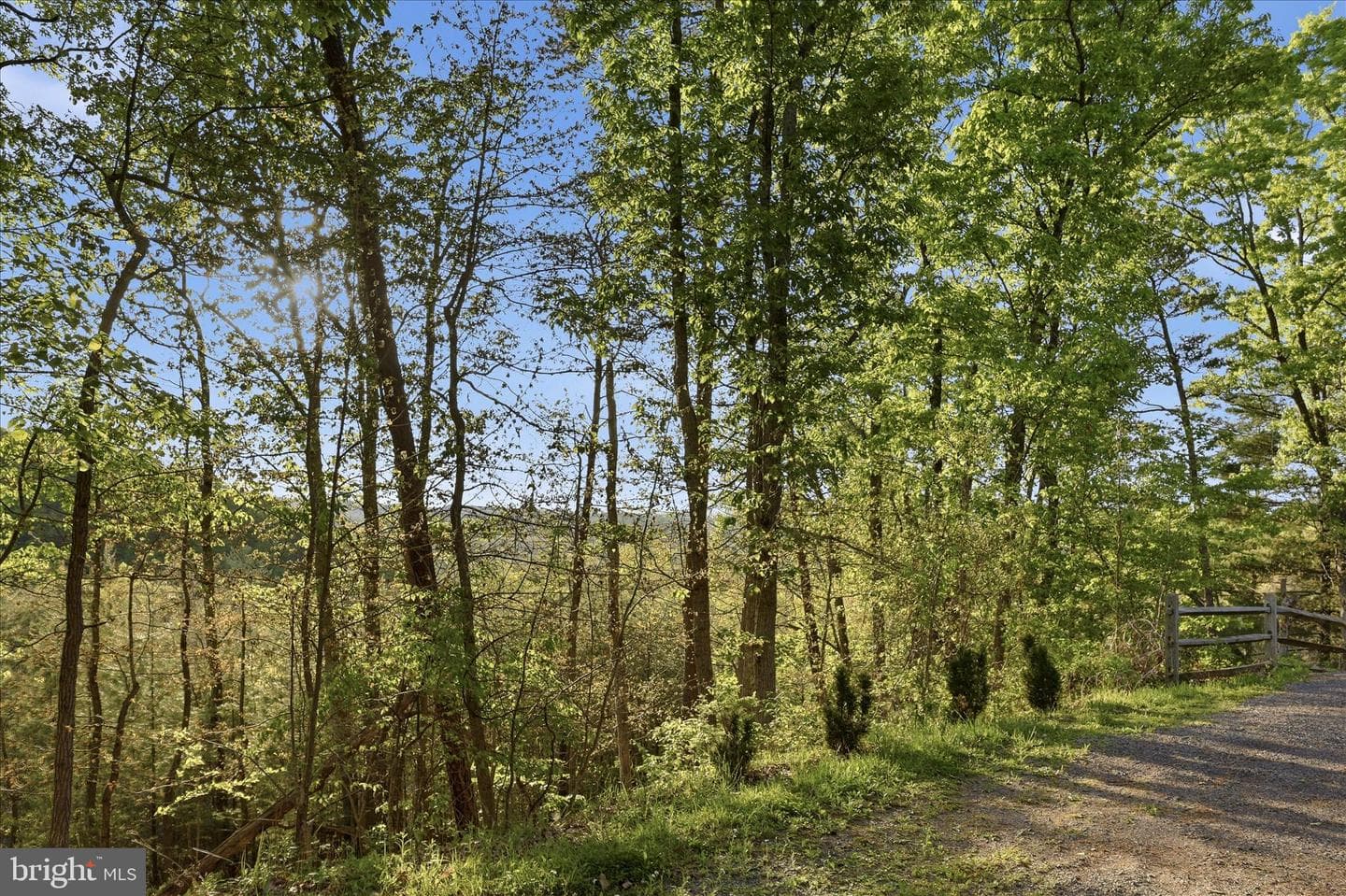 142 Spring Hollow Road photo 44