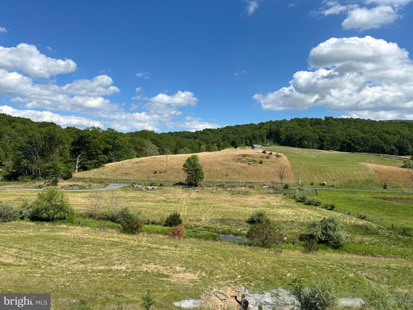 732 Gooney Manor Loop photo 7