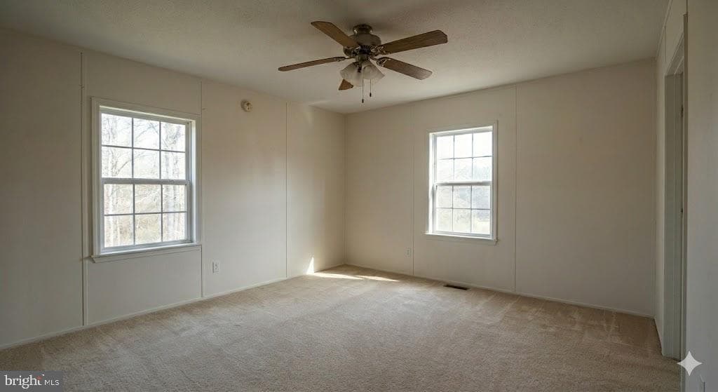 172 Rogers Mill Road photo 13