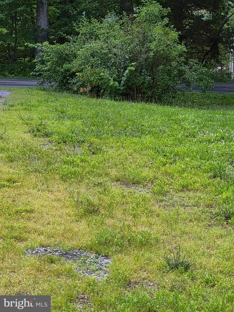 172 Rogers Mill Road photo 26