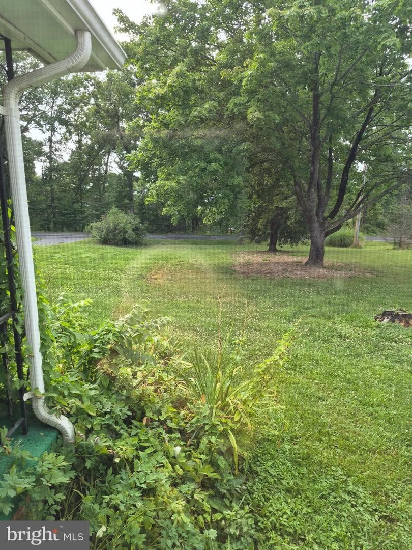 172 Rogers Mill Road photo 32