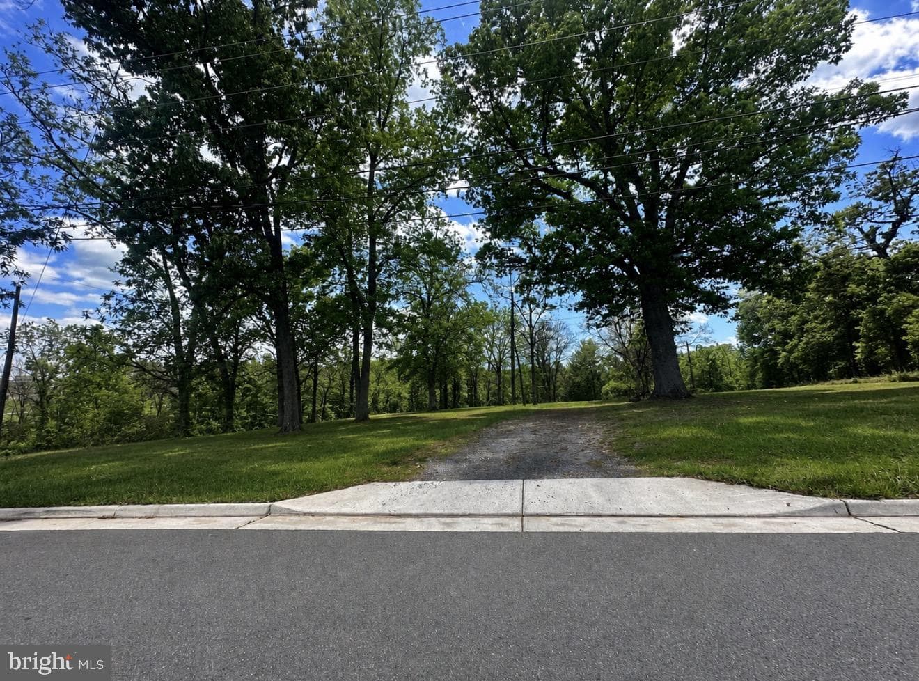 0 Forest Hill Drive photo 8