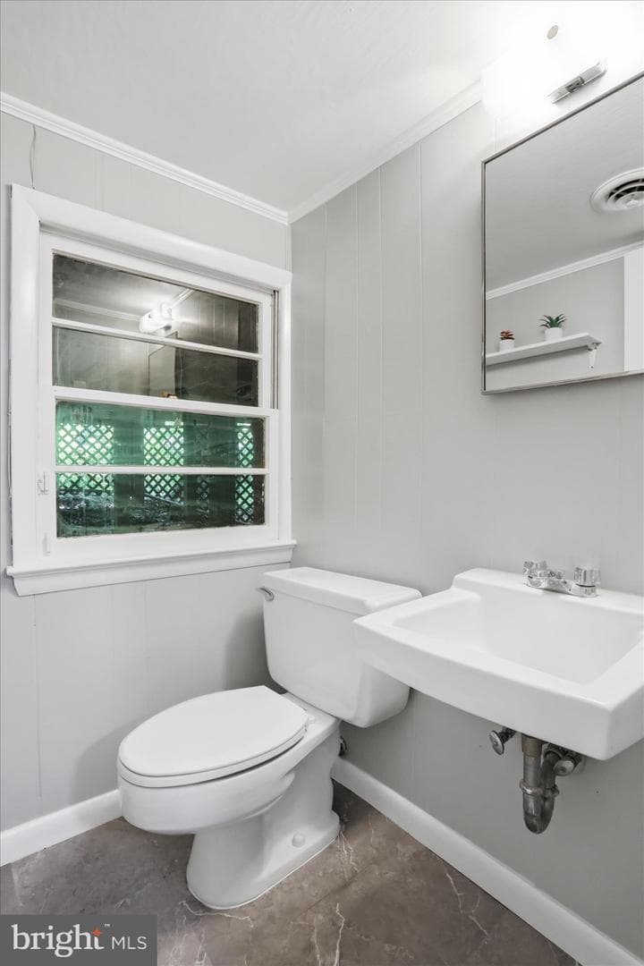 49 Wild Cherry Way photo 38