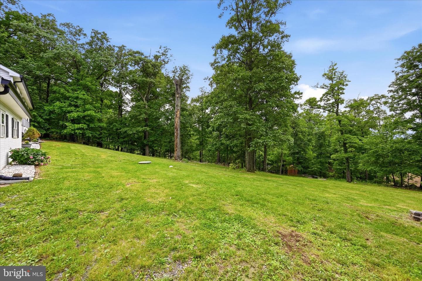 660 Salt Lick Road photo 4