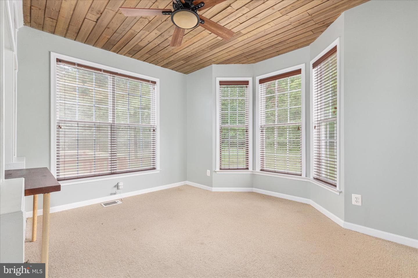 1139 Shadows Drive photo 11