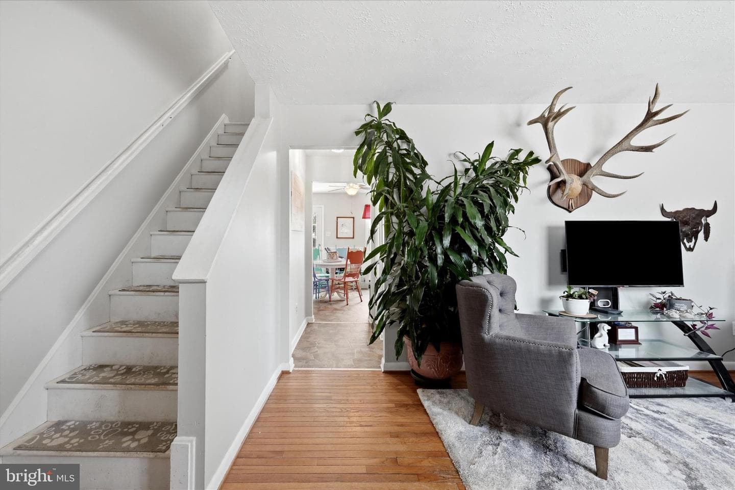 132 Scott Street photo 6