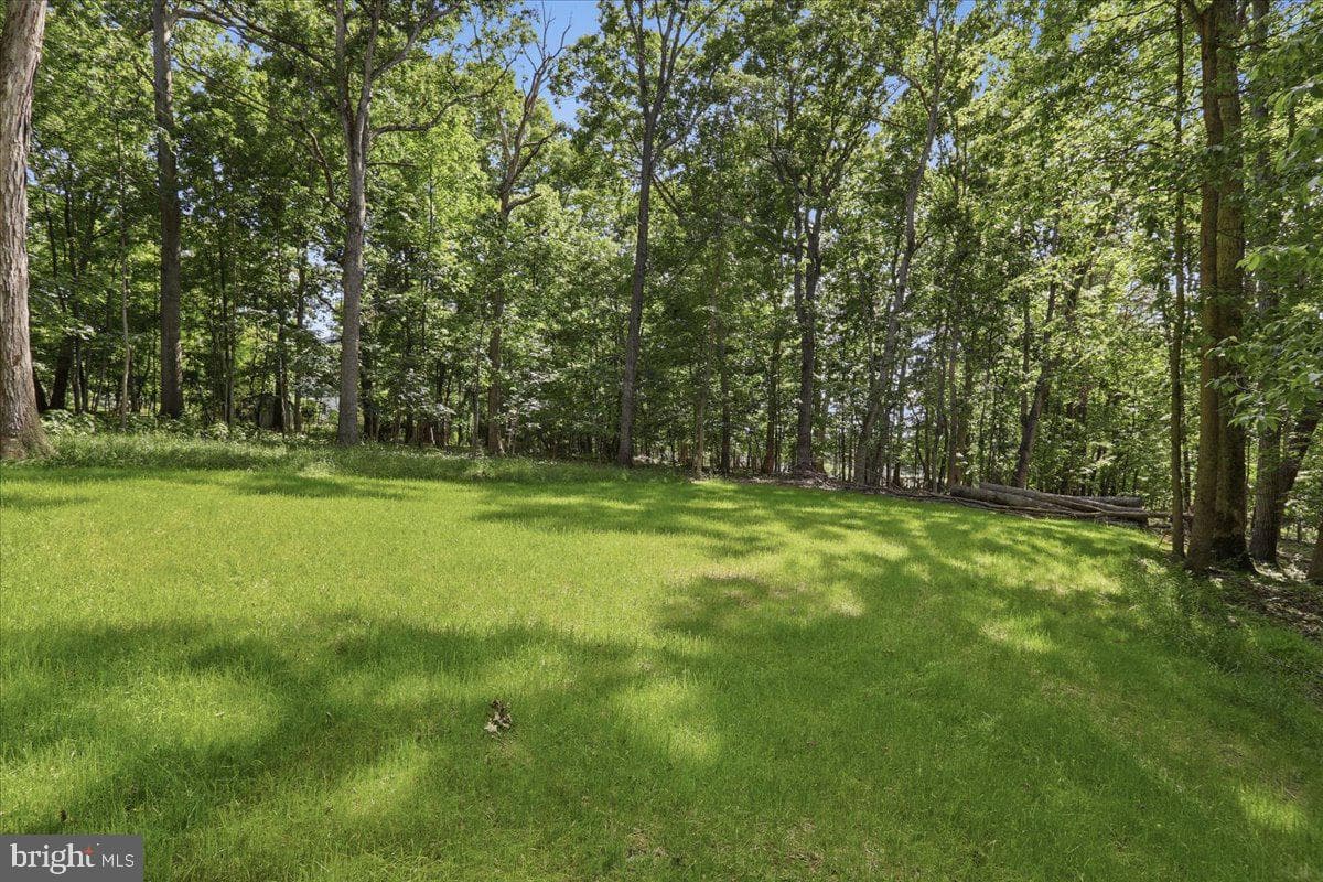 99 Lakeside Dr photo 8