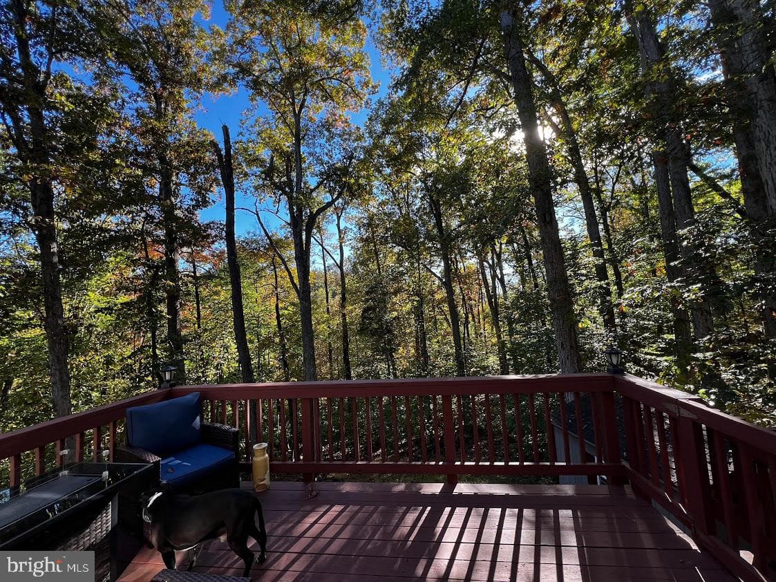 68 View Drive photo 15