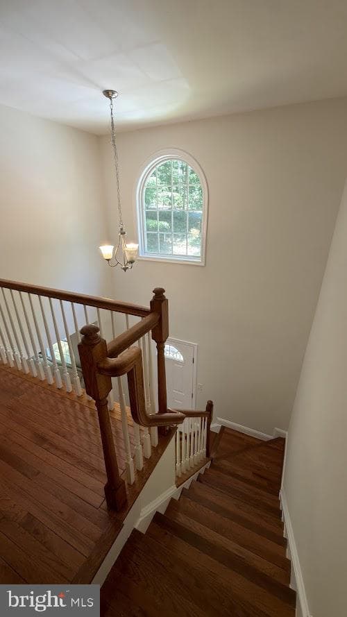 68 View Drive photo 17