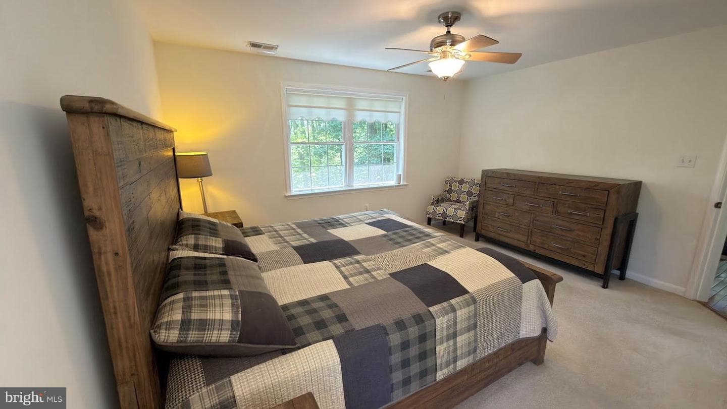68 View Drive photo 19