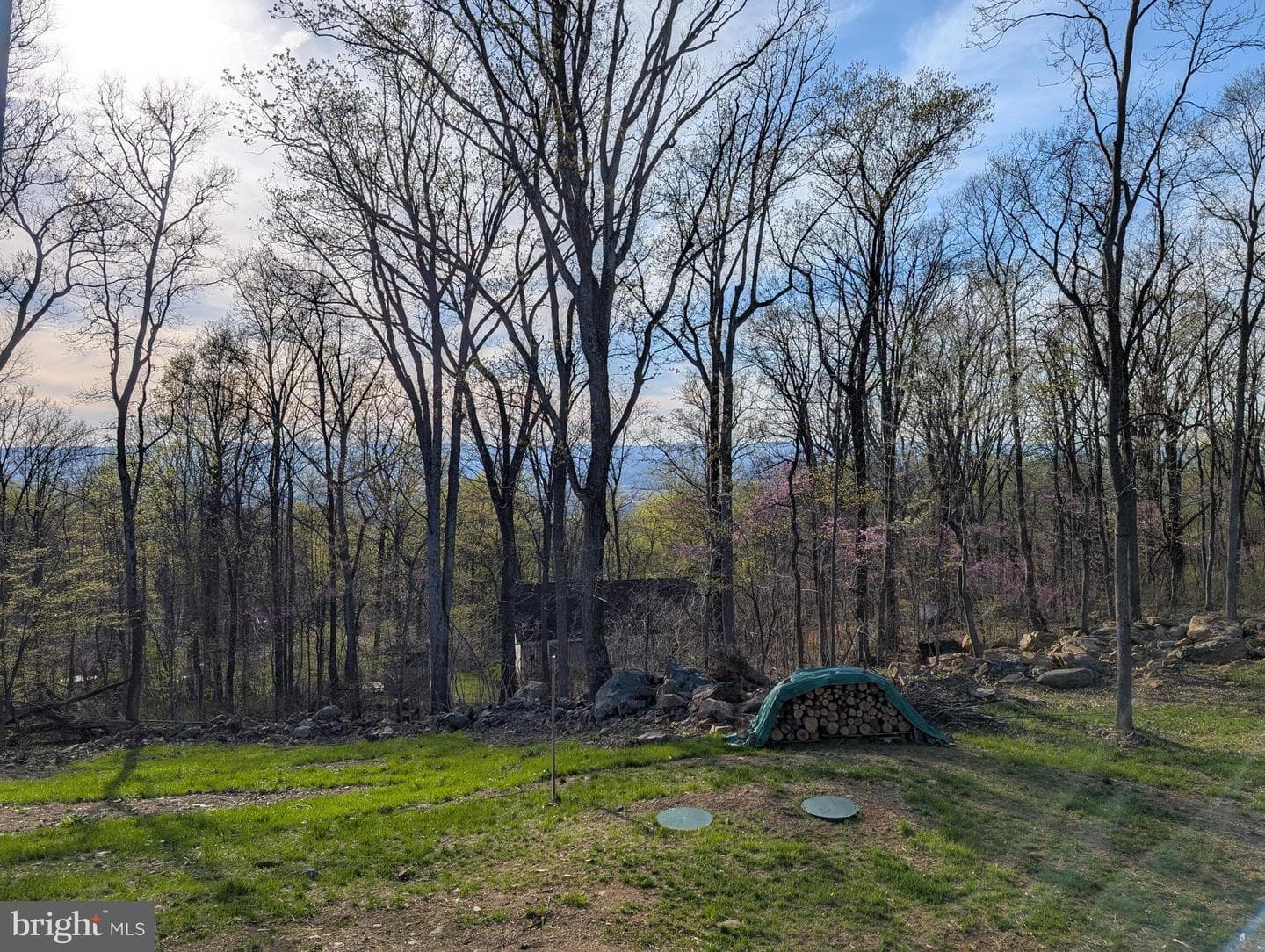 1099 High Top Road photo 3