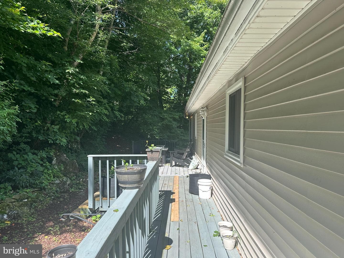 440 Bluebird Way photo 19