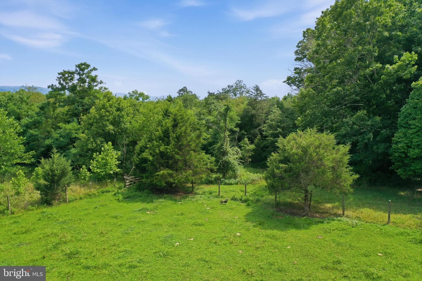 1201 Pilgrims Way photo 55