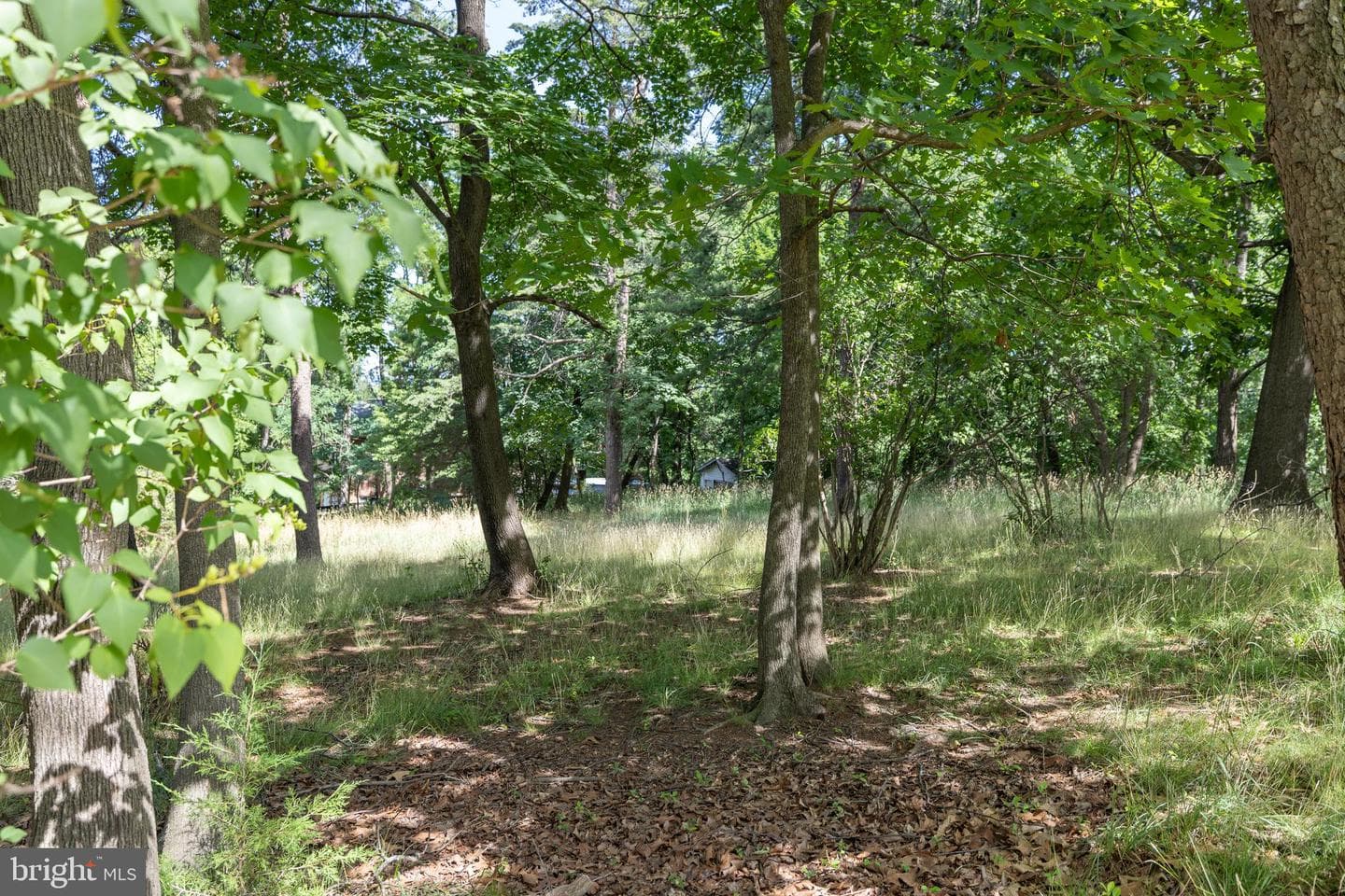 413 Grand Avenue photo 65