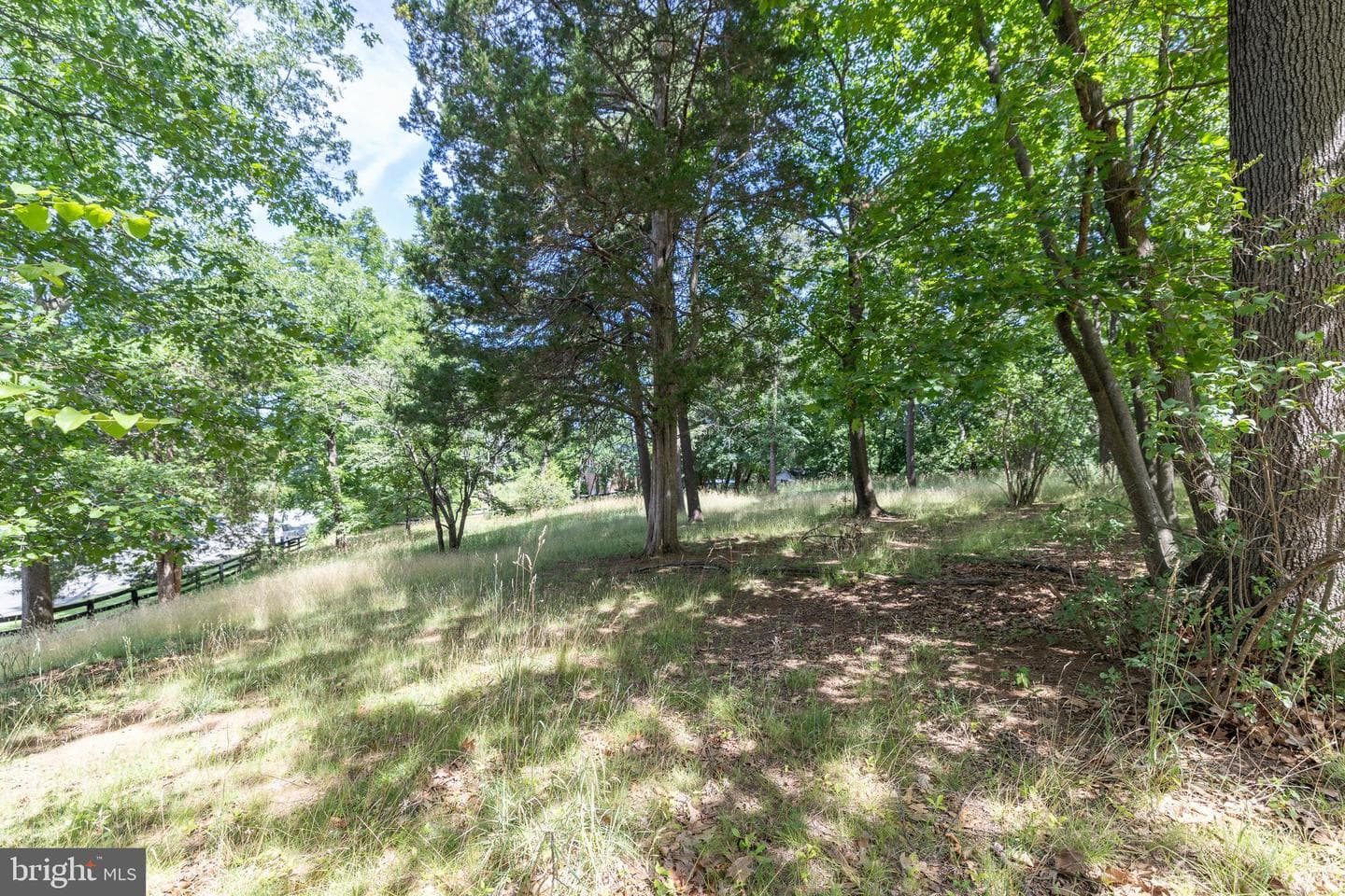 413 Grand Avenue photo 67