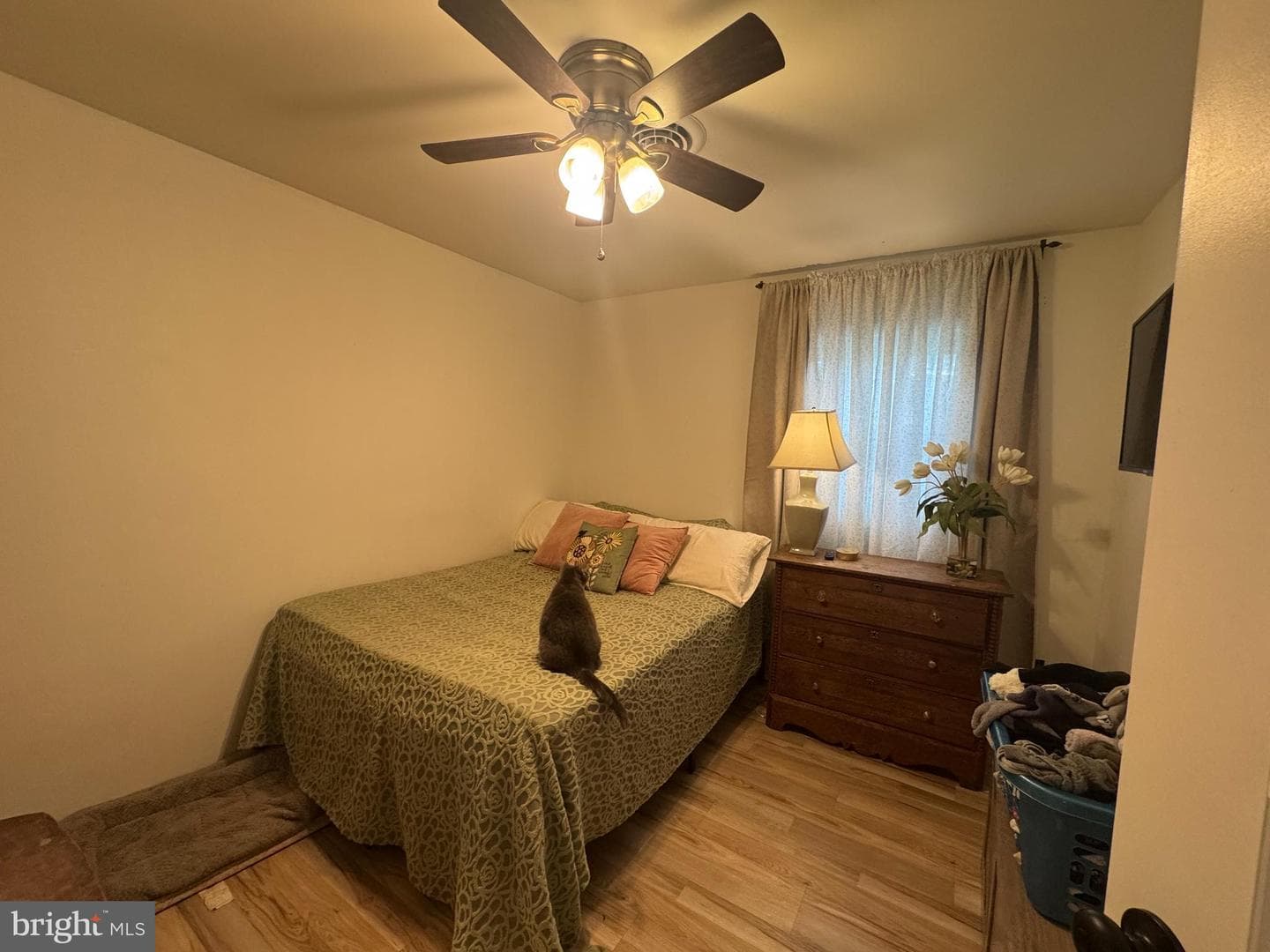 1309 Monroe Avenue photo 22