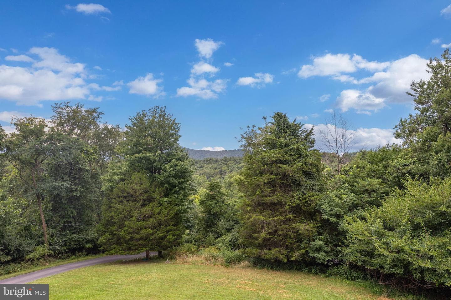 434 King David Drive photo 31