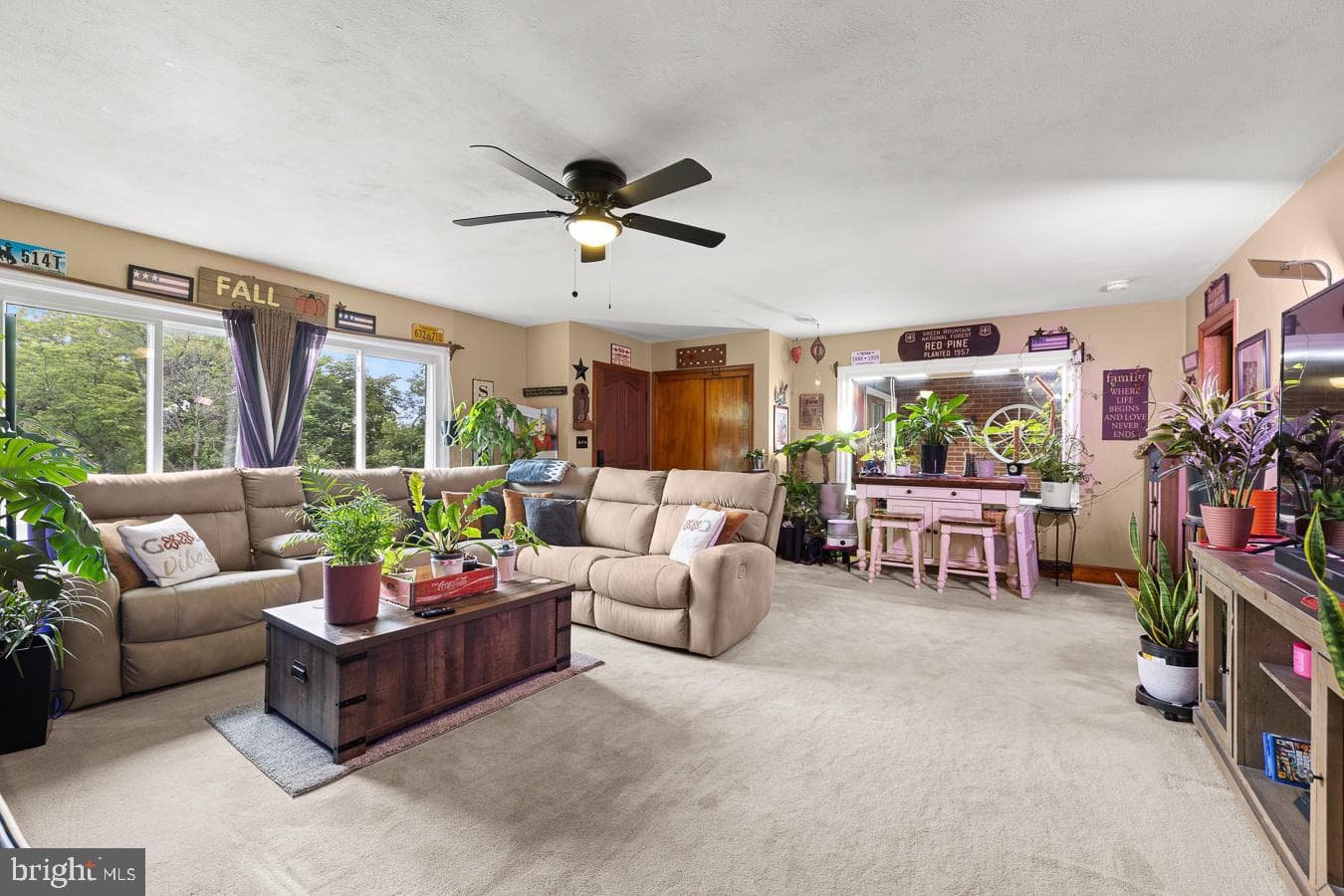 149 Dungadin Road photo 6