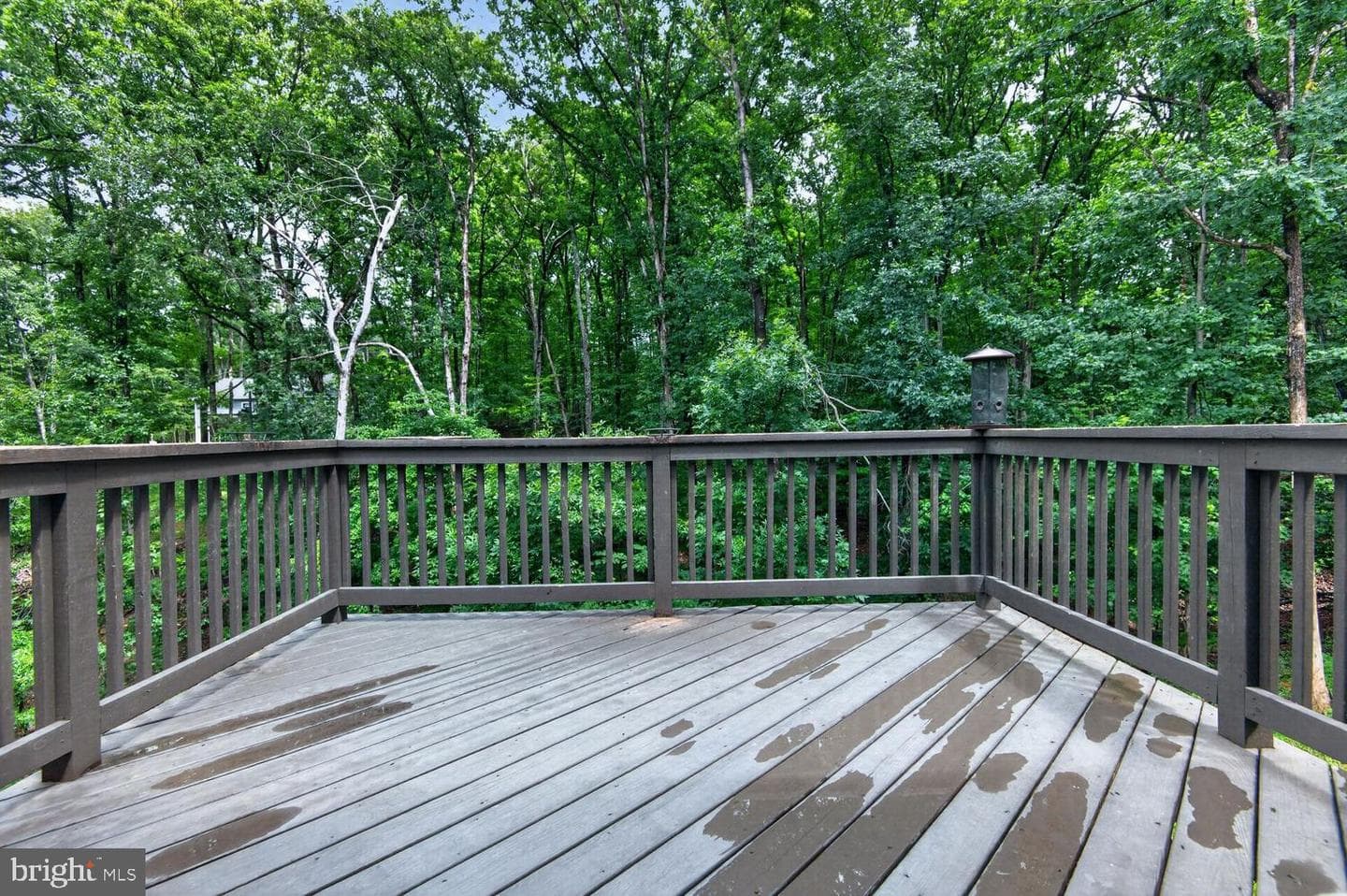 1674 Western Lane photo 29
