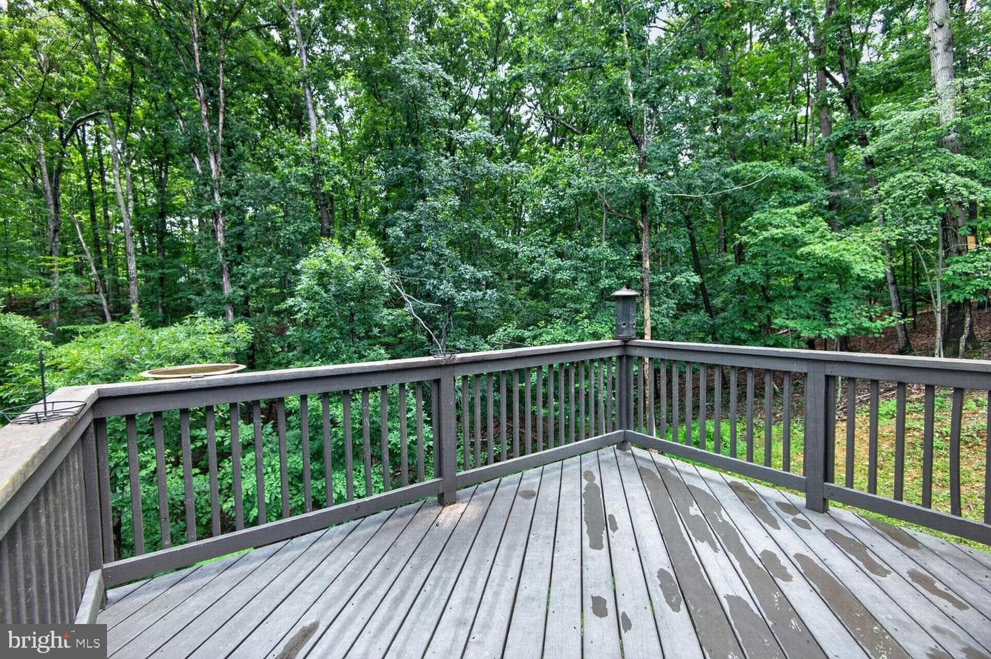 1674 Western Lane photo 30