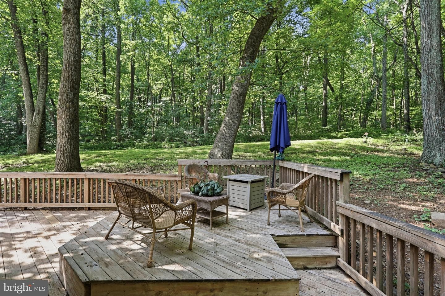 72 Long View Road photo 6