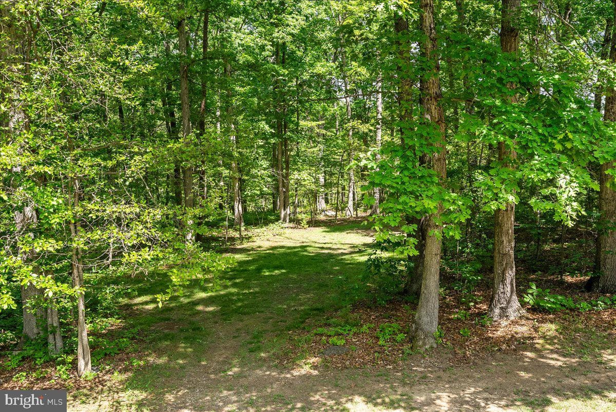 298 Mcdaniel Lane photo 38