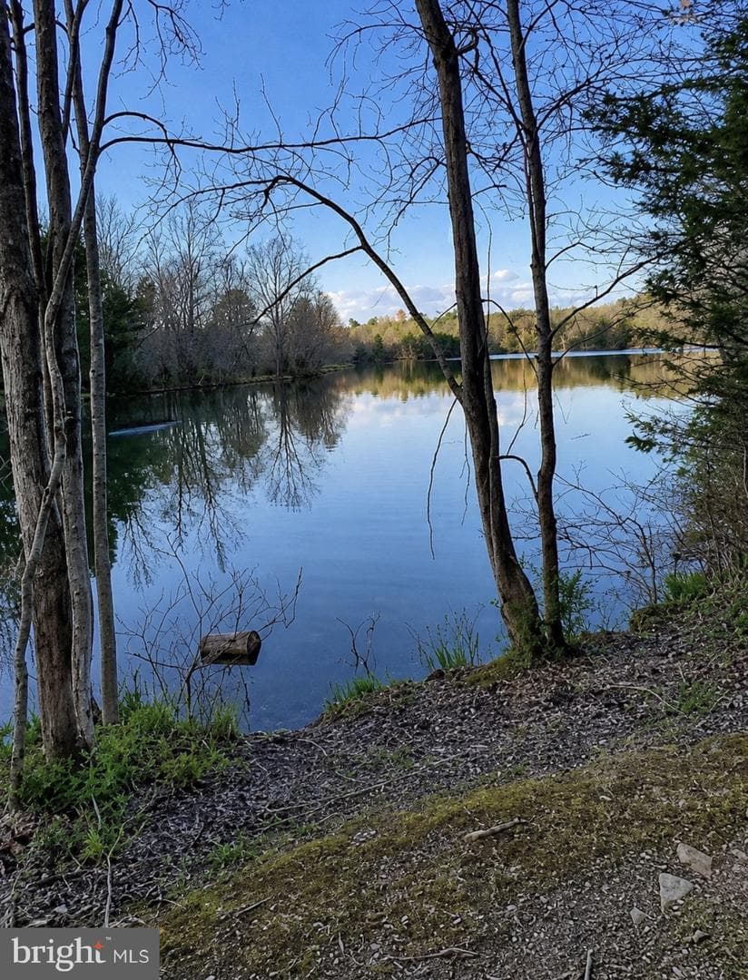 91 Lower View Road photo 23