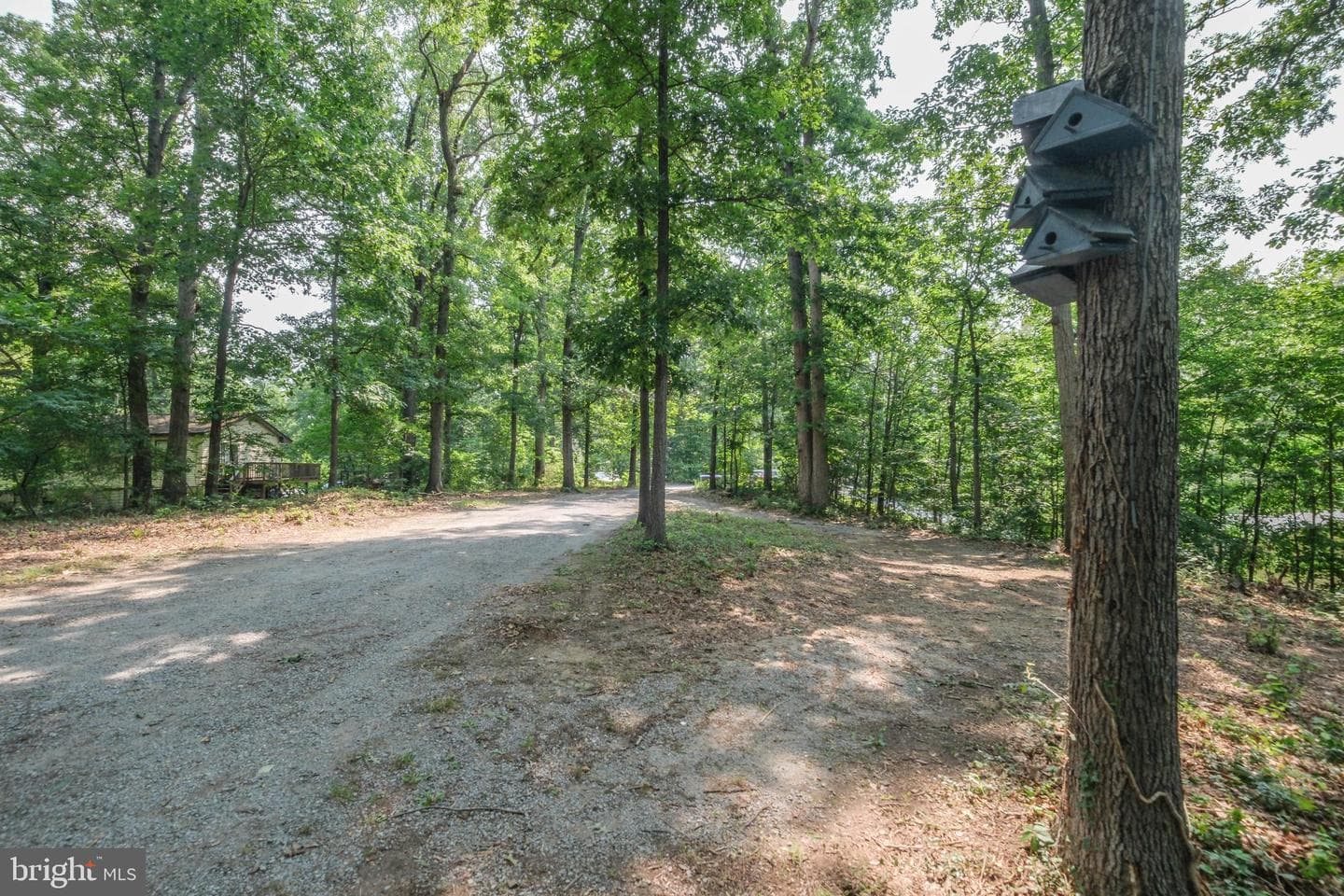 286 Summit Ridge Road photo 14