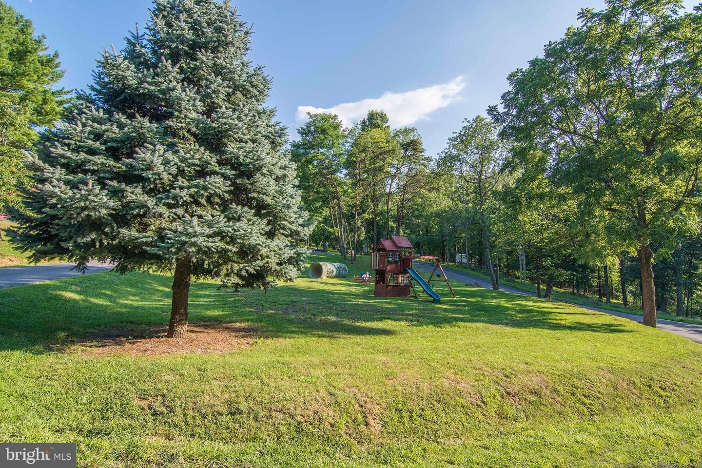 515 Red Bud Lane photo 47