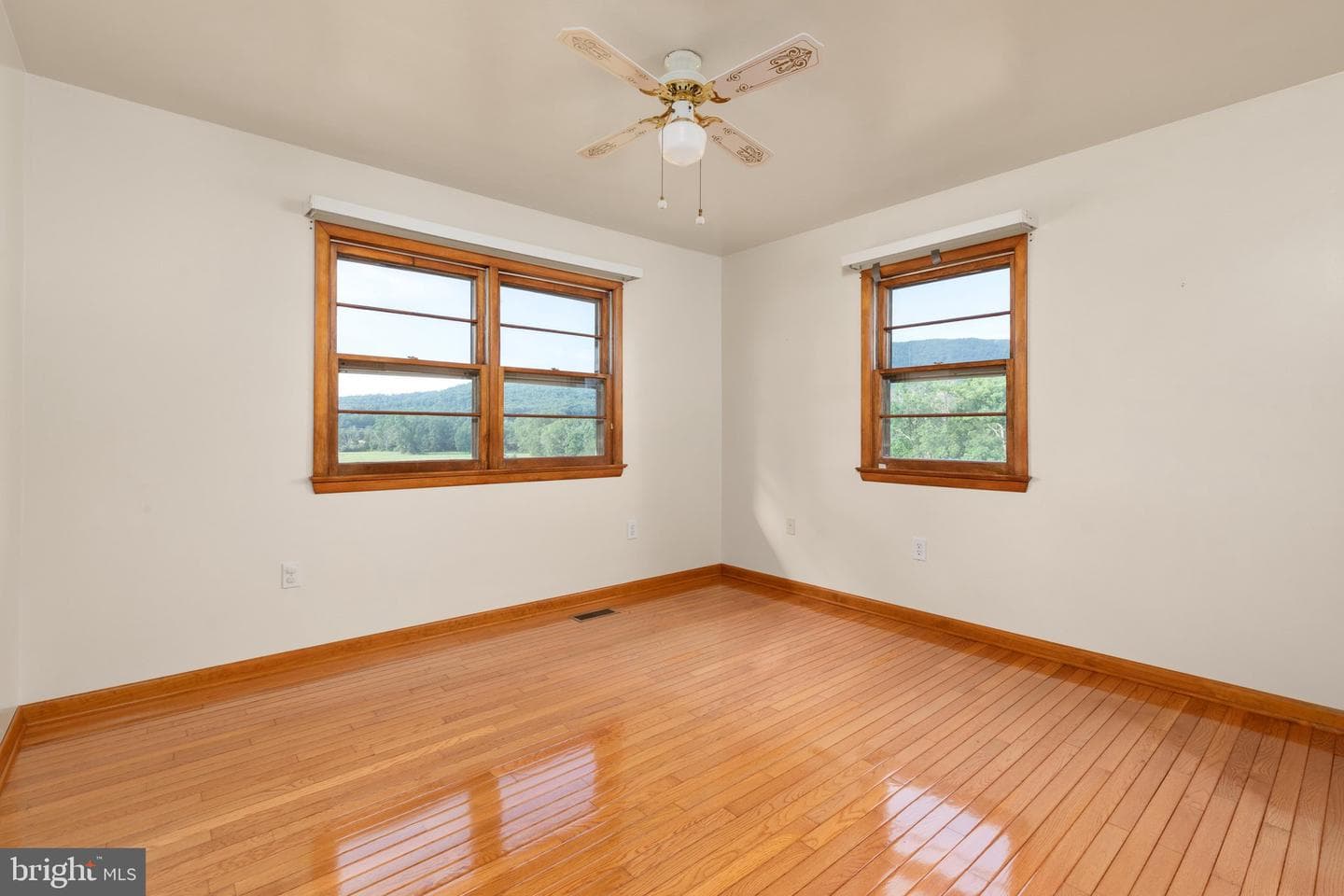 101 Nelson Road photo 20