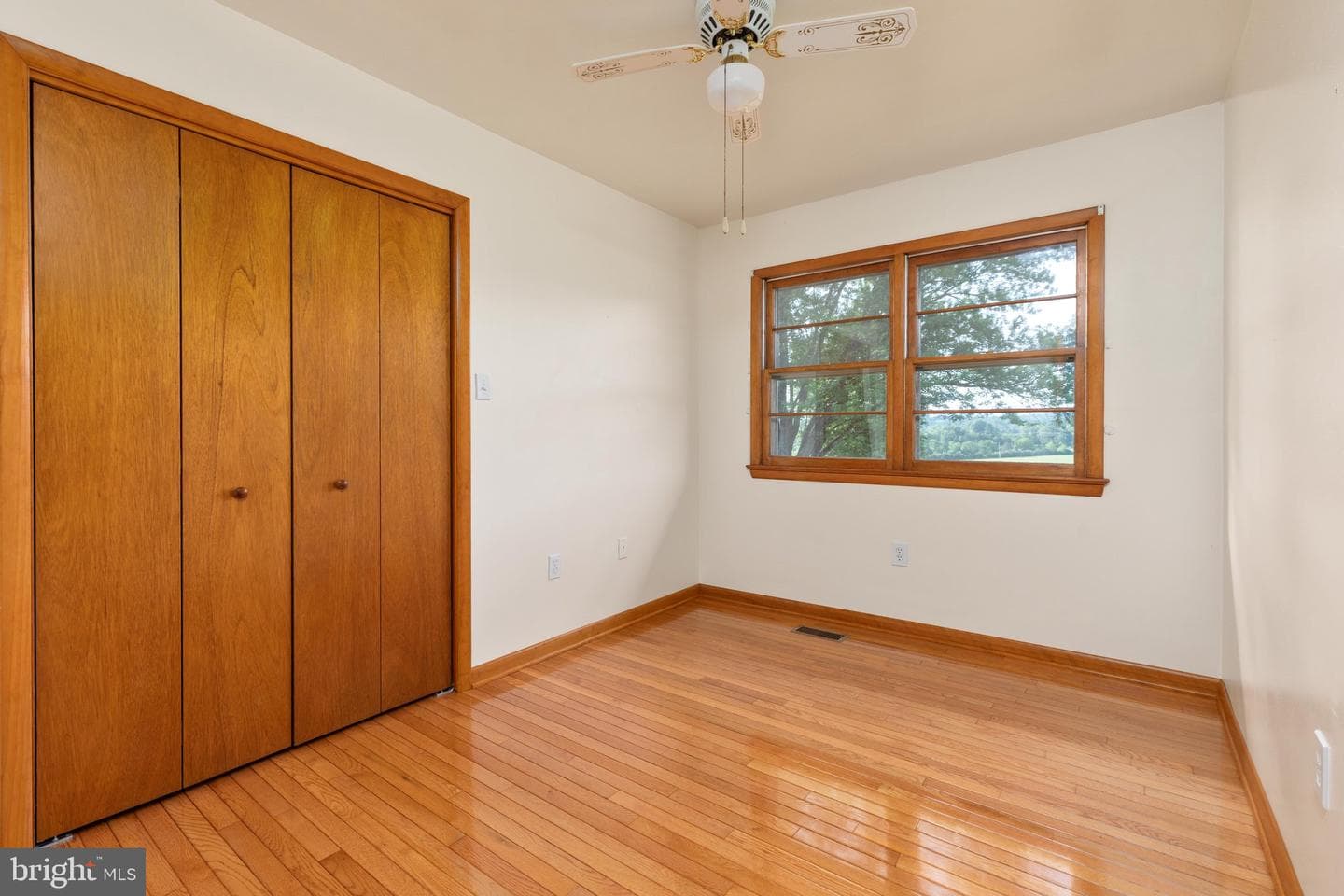 101 Nelson Road photo 21